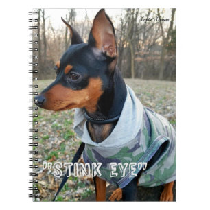 Carnet Oeil puant MInPin
