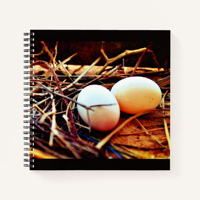 Carnet OEufs de colombe (Devant)