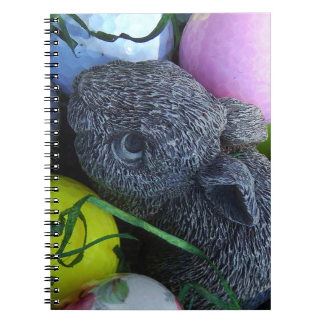 Carnet Oeufs de Pâques, Ballons de golf de lapin (Devant)