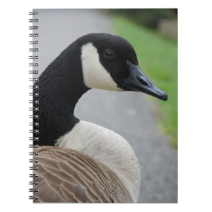 Carnet Oie canadienne