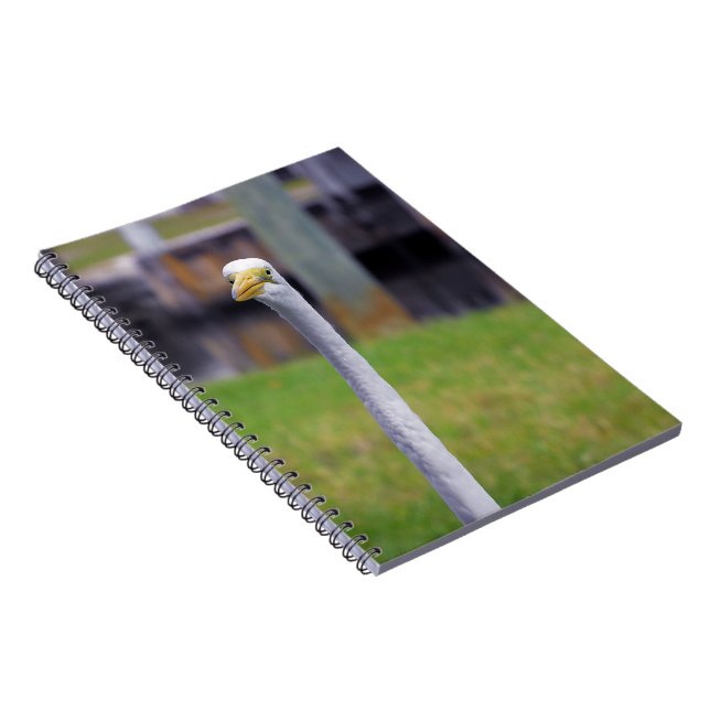 Carnet Oiseau à long cou (Côté Droit)