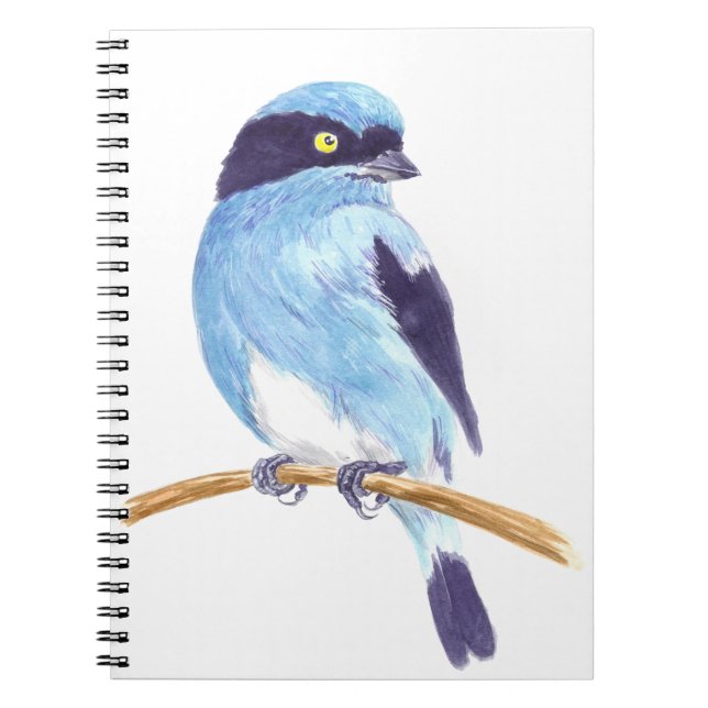 Carnet Oiseau bleu (Devant)