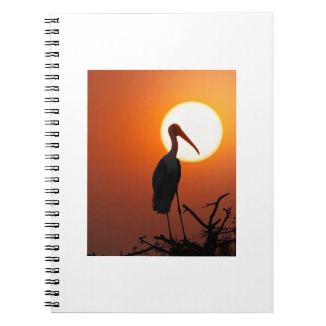 Carnet Oiseau couché de soleil en Branche - Oiseau mur de (Devant)