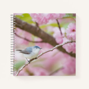 Carnet Oiseau dans l'arbre à fleurs roses
