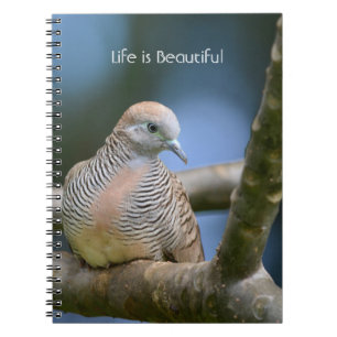 Carnet Oiseau dans l'arbre Kauai (ma photographie)