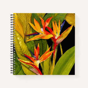 Carnet Oiseau du Paradis