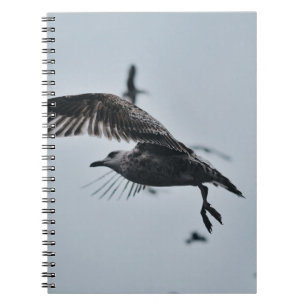 CARNET OISEAU NOIR ET BLANC