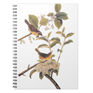 Carnet Oiseaux du Maryland à gorge jaune Audubon dans l'o