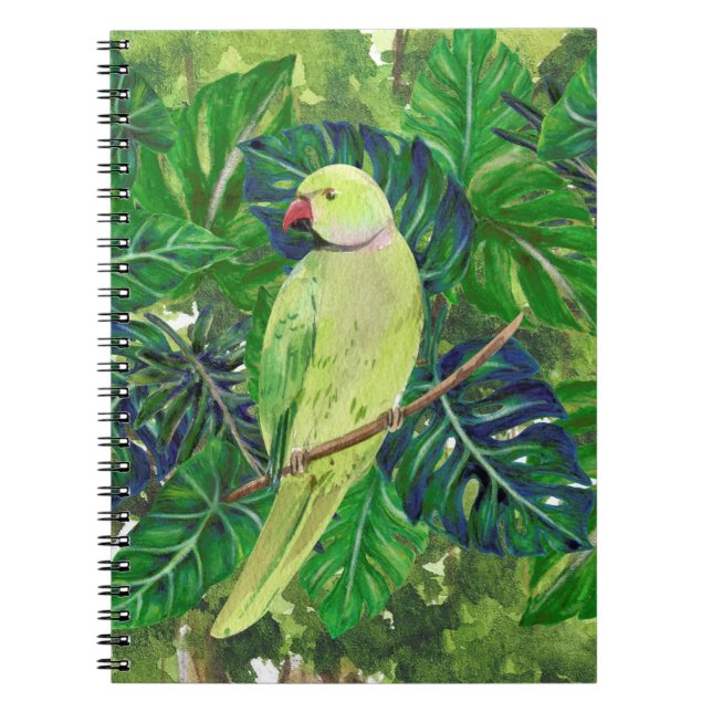 Carnet oiseaux, perroquets (Devant)