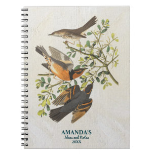 Carnet Oiseaux vintages Oiseaux Observation d'Oiseaux Cad