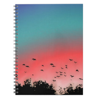 Carnet Oiseaux volant haut