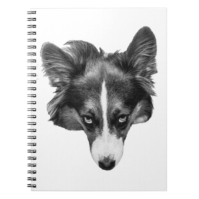 Carnet ombrefaible focus (Devant)