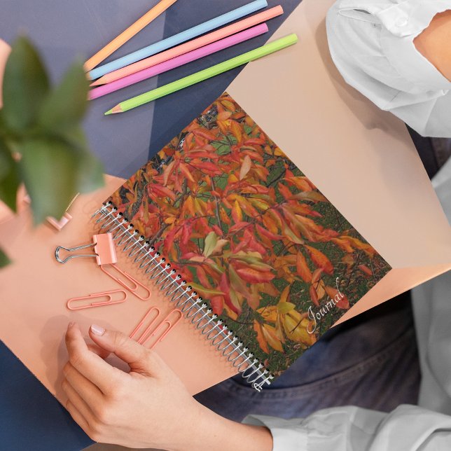 Carnet Orange Sourwood Automne Feuilles Botanique (In Situ)