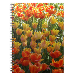 Carnet Orange-&-Yelow-Tulips.jpg