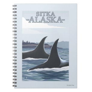 Carnet Orca Whales #1 - Sitka, Alaska