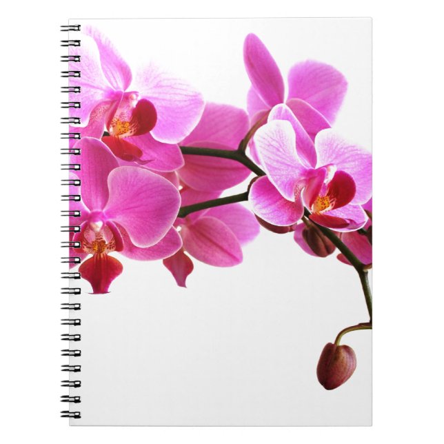 Carnet Orchidée (Devant)