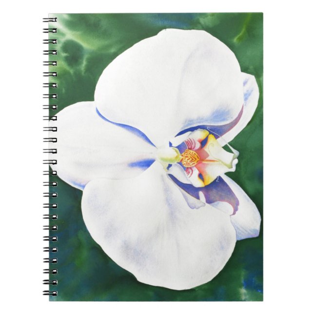 Carnet Orchidée blanche (Devant)