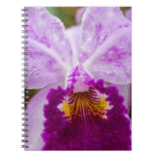 Carnet Orchidée mauve de passion