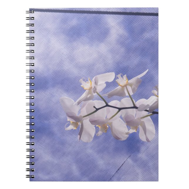 Carnet Orchidée papillon (Devant)