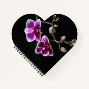 Carnet Orchidée rose blanc couleur sur noir pâle doux