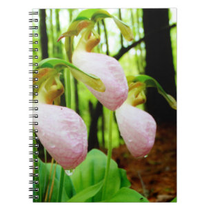 Carnet Orchidée sauvage de Madame rose pantoufle