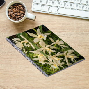 Carnet Orchidées blanches et fleurs de fougères