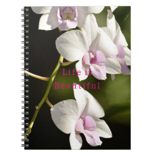 Carnet Orchidées blanches roses de Kauai (photo prise par