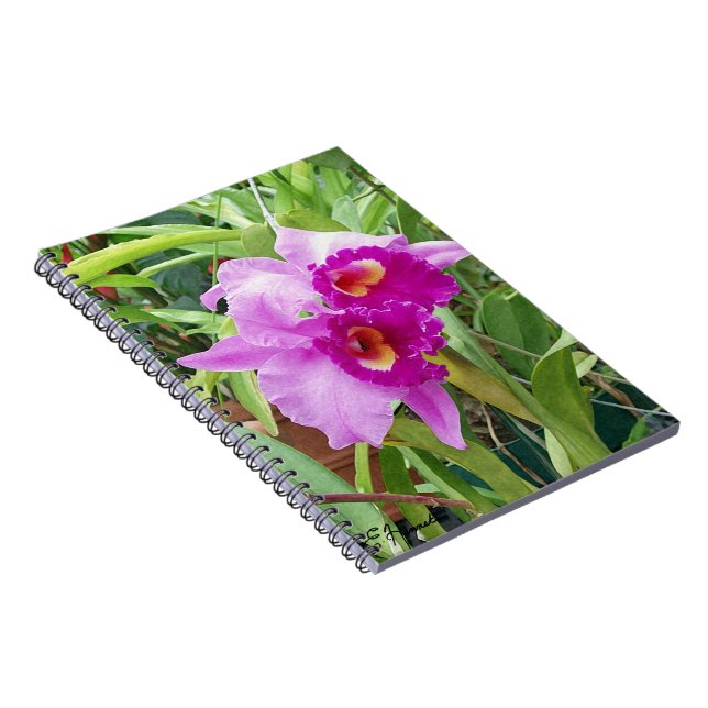 Carnet Orchidées pourpres de Cattleya (Côté Droit)