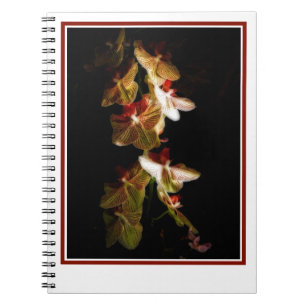 Carnet orchidées rayées