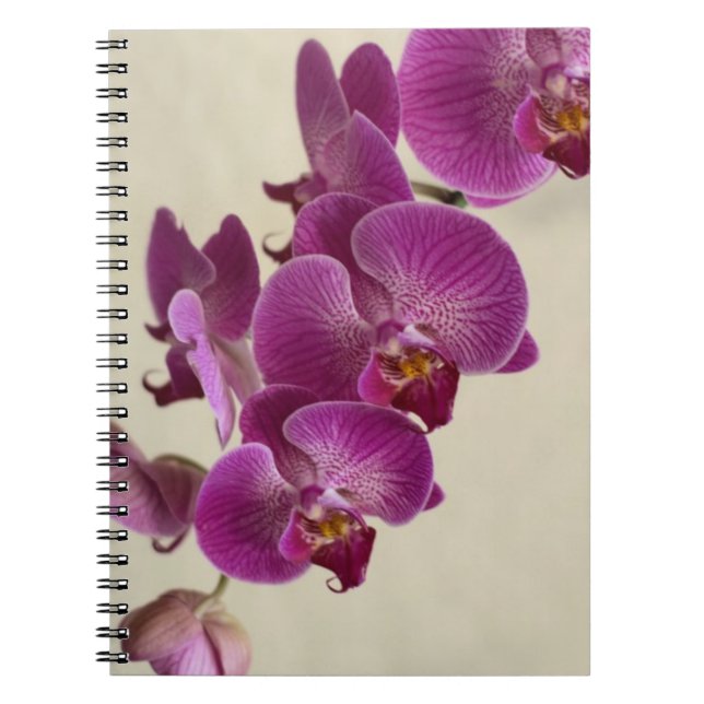 Carnet Orchidées roses (Devant)