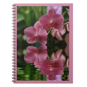 Carnet Orchidées Roses Avec Réflexions