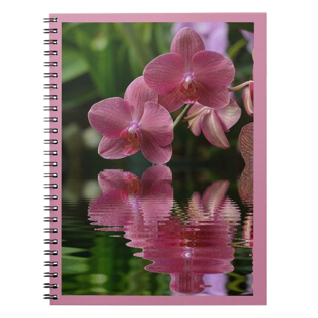 Carnet Orchidées Roses Avec Réflexions (Devant)