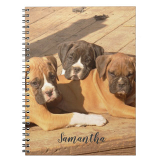 Carnet Ordinateur portable en spirale pour chiots de boxe