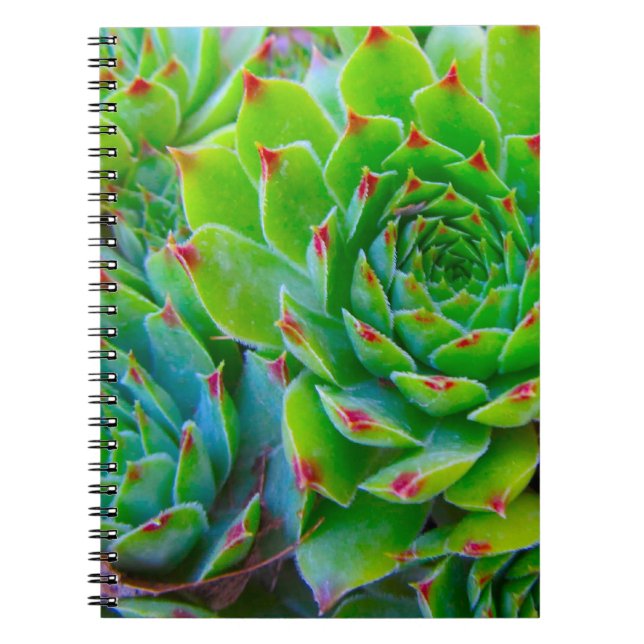 Carnet Ordinateur portable Green Plante (Devant)