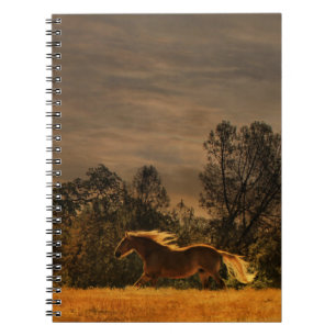 Carnet Ordinateur portable Palomino Runse Horse