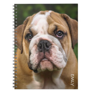 Carnet Ordinateur portable personnalisé Bulldog Chien an
