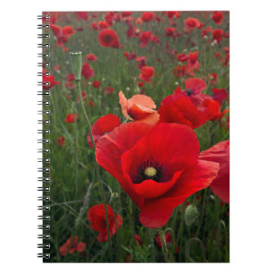 Carnet Ordinateur portable Poppy Field
