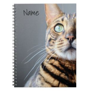 Carnet Ordinateur portable pour chat Bengale