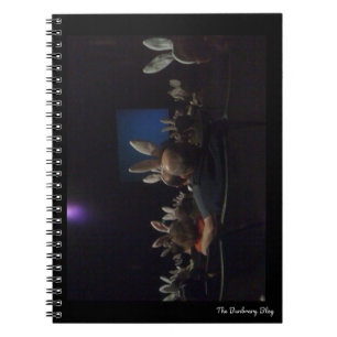 Carnet Ordinateur portable Rabbit Cinema