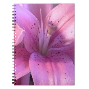 Carnet Ordinateur portable rose Lily