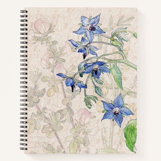 Carnet Ordinateur portable Starflower Borage Fleur sauvag (Devant)