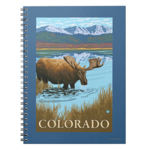 Carnet Orignaux DrinkingColorado