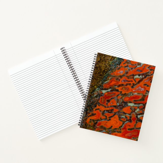 Carnet Os Dinosaure Petrifié Rouge (Intérieur)