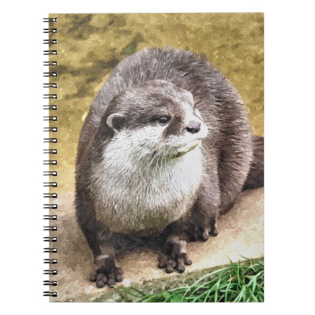 CARNET OTTERS (Devant)