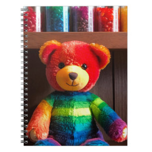 Carnet Ours en peluche arc-en-ciel radieux