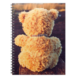 Carnet Ours en peluche mignon