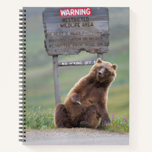 Carnet Ours Grizzly Joue Avec Un Panneau