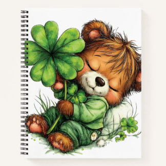 CARNET OURSON EN PELUCHE À THÈME IRLANDAIS ADORABLE