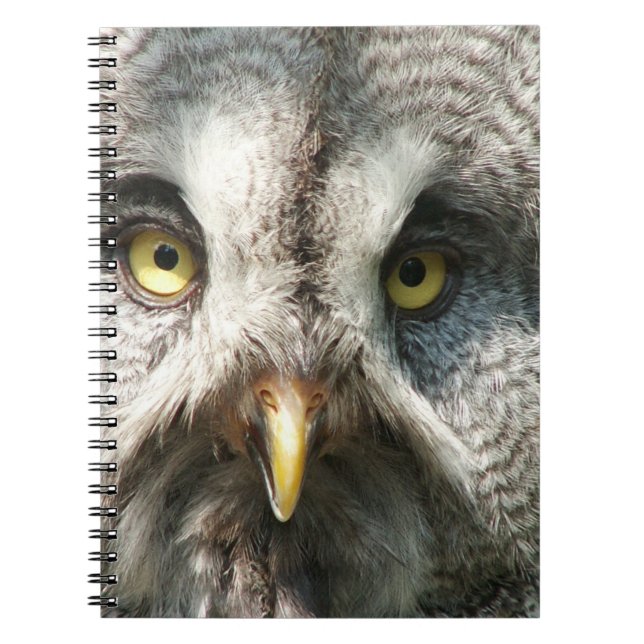 Carnet Owl Notebok (Devant)