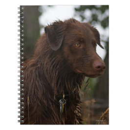 Carnet P1 Flatlandersam Wet Dog